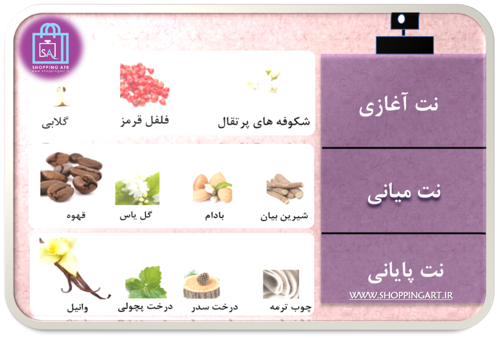 رایحه عطر ادکلن ایو سن لورن بلک اپیوم (Yves Saint Laurent Black opium)