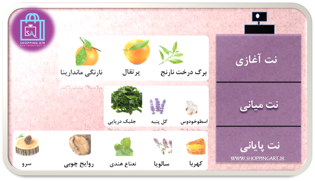 رایحه عطر ادکلن بولگاری آکوا پور هوم (Bvlgari Aqva Pour Homme)