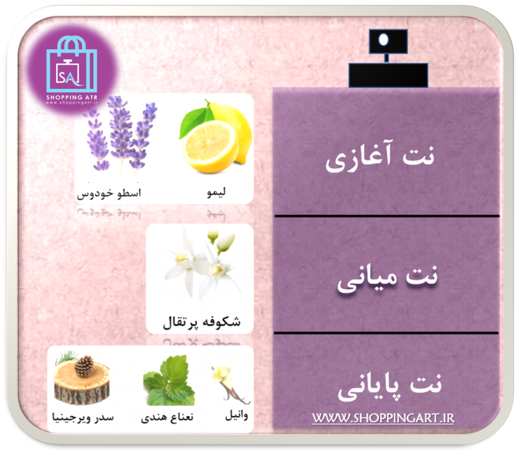 رایحه عطر ادکلن گوچی گیلتی مردانه (Gucci Guilty Pour Homme)