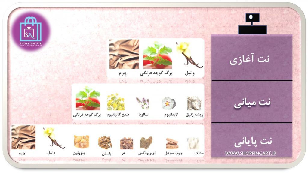 رایحه عطر ادکلن ممو ایتالین لدر (Memo Italian Leather)