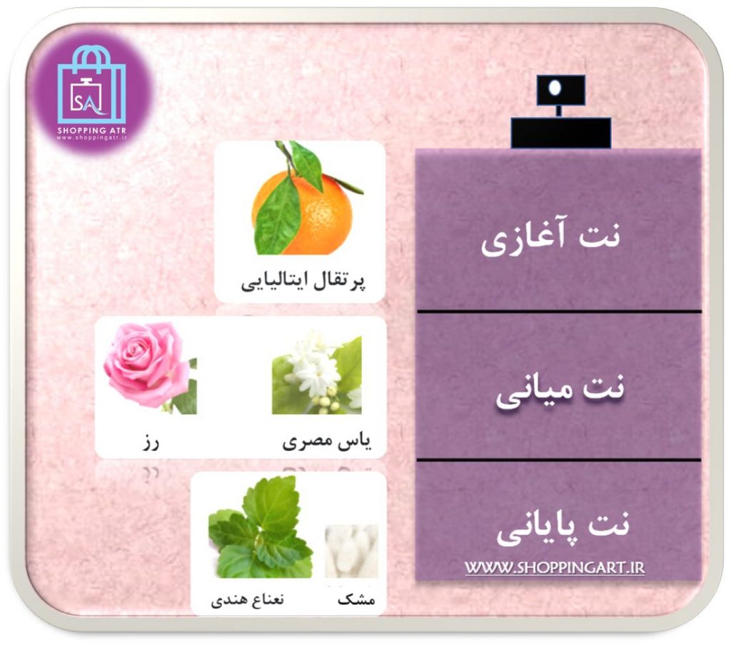 مشخصات رایحه عطر ادکلن میس دیور رایحه عطر ادکلن میس دیور