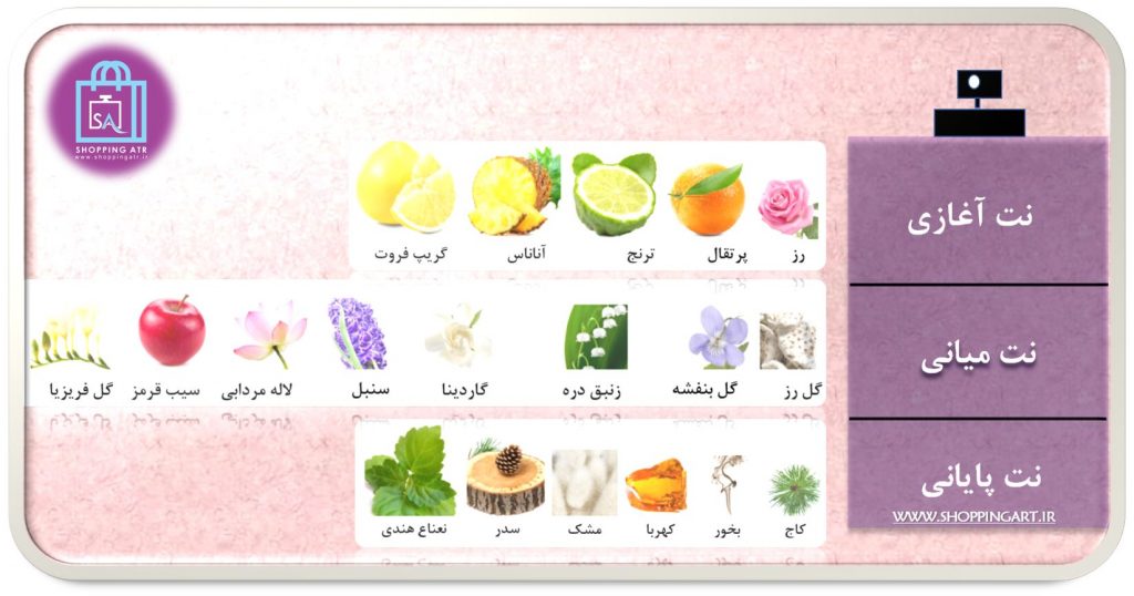 رایحه ادکلن شیسیدو زن (Shiseido Zen)