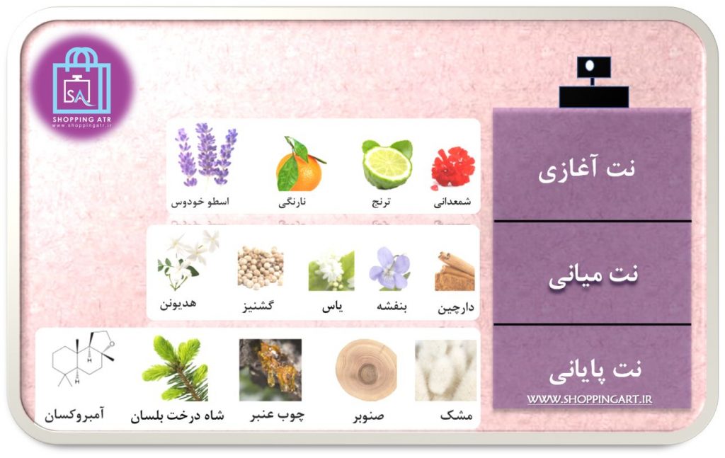 رایحه عطر ادکلن مارلی پرسیوال (Parfums de Marly Percival)