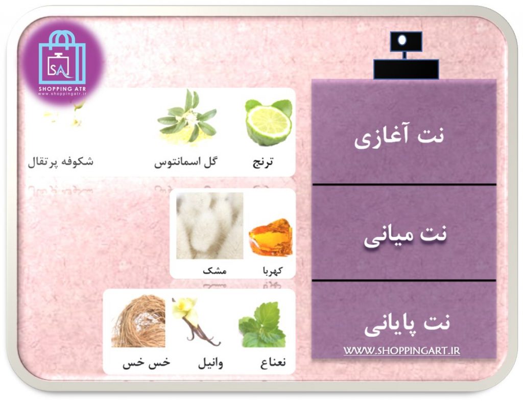 رایحه عطر ادکلن نارسیس رودریگز زنانه مشکی (Narciso Rodriguez For Her EDT)